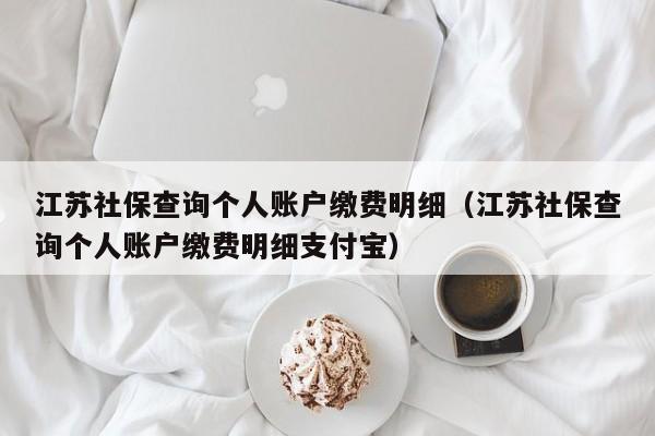 江苏社保查询个人账户缴费明细（江苏社保查询个人账户缴费明细支付宝）