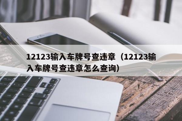 12123输入车牌号查违章（12123输入车牌号查违章怎么查询）